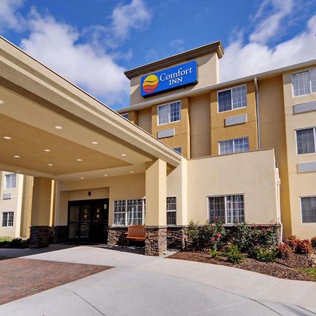 Comfort Inn Mount Airy Kültér fotó